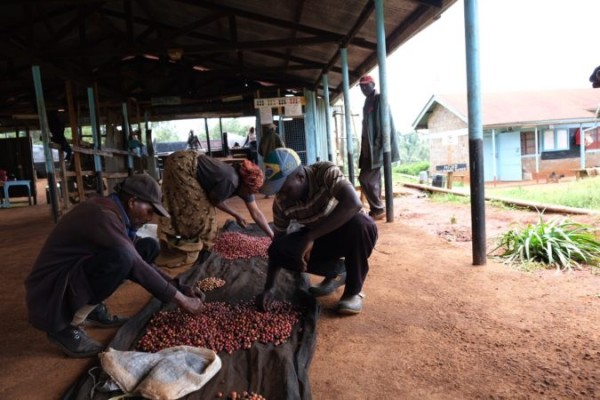 Kenya Barichu Gaturiri