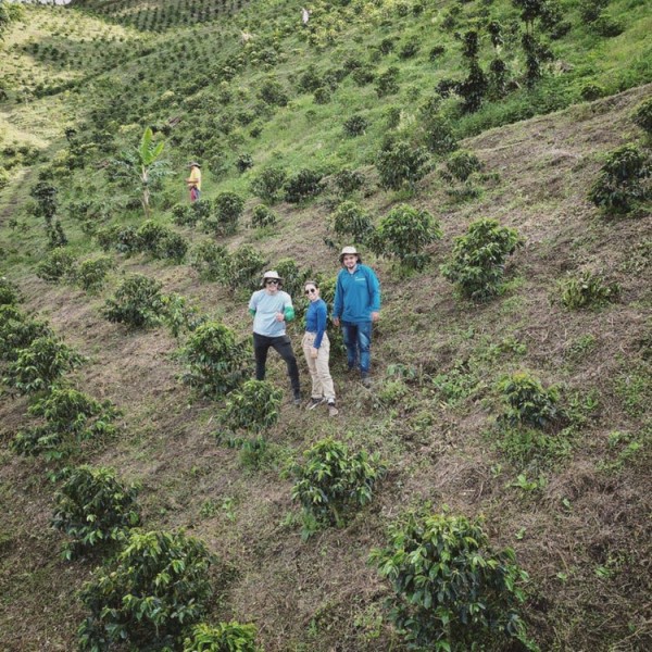 Kolombiya Finca La Secreta Organik