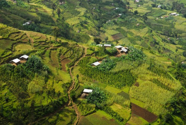 Etiyopya Yirgacheffe GR2