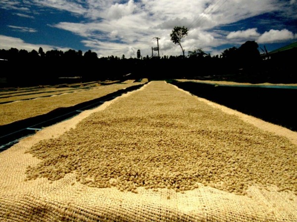 Kenya Nyeri AB