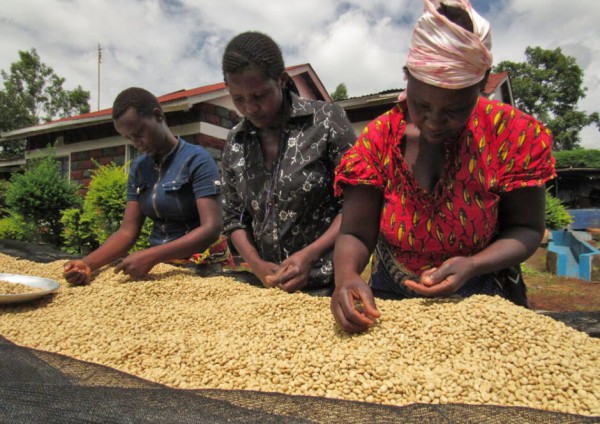 Kenya Nyeri AB