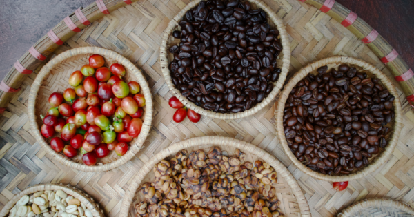 Meksika La Belleza Organic Arabica HG KAFEİNSİZ Decaf Water Process