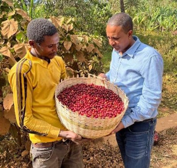 Etiyopya Sidama Bensa GR1 Natural Anaerobic Faysel ABDOSH HAMASHO