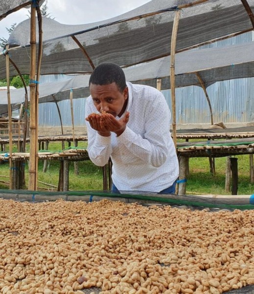 Etiyopya Sidama Bensa GR1 Natural Anaerobic Faysel ABDOSH HAMASHO