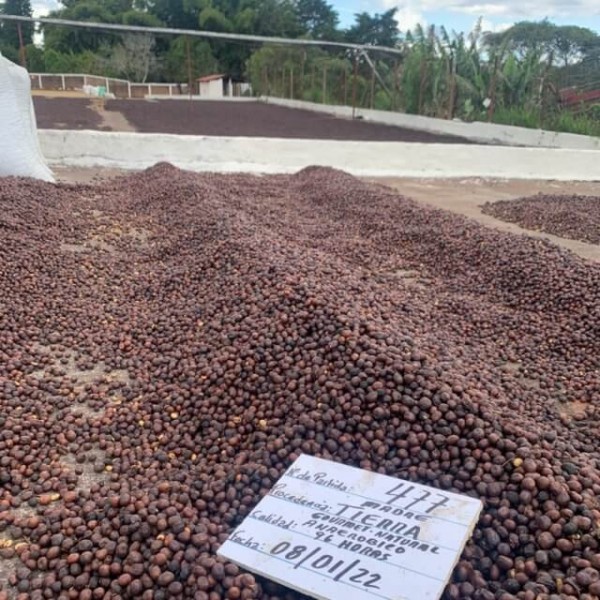 El Salvador Las Llantas Sarchimor Anaerobic Natural