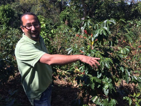 El Salvador Holanda Natural Anaerobic